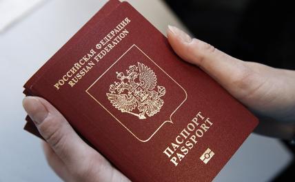 Госдума приняла в первом чтении законопроект о гражданстве