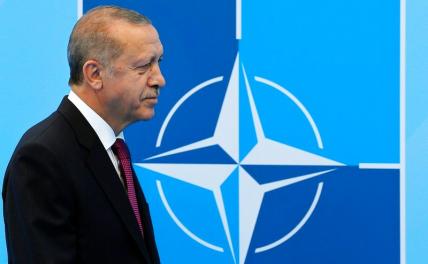 НАТО: Эрдогану опять предлагают с «вещами на выход»