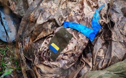 Потери страшные: Тела украинских солдат бросают на поле боя, моргам запрещают давать информацию