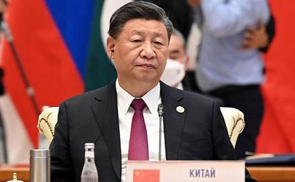 Эксперт оценила, пойдет ли Си Цзиньпин на поводу у Зеленского