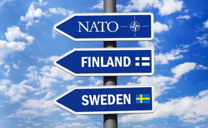 Скандинавы в НАТО — эти сестры такие разные