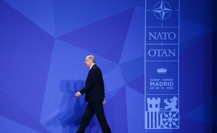 Турция и НАТО: Уйти нельзя остаться