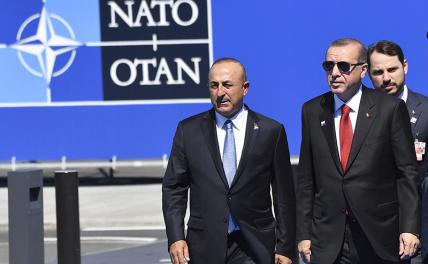 Турция вскоре выйдет из НАТО, уверен эксперт